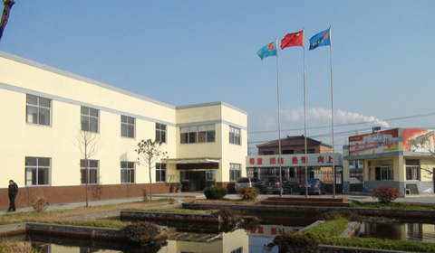 Image 01
